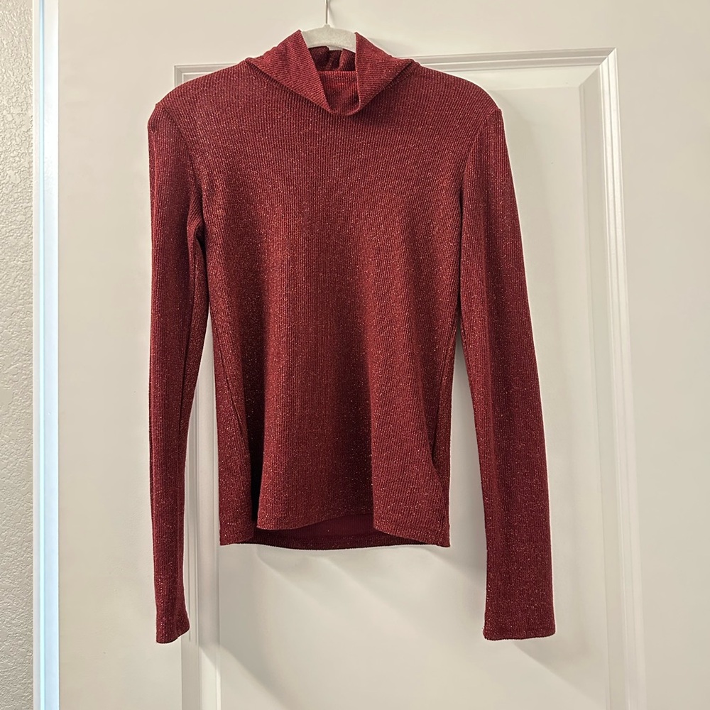 Express Turtleneck Shimmer